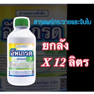 อัพเกรด สารแพร่กระจาย จับใบ (12 ลิตร)