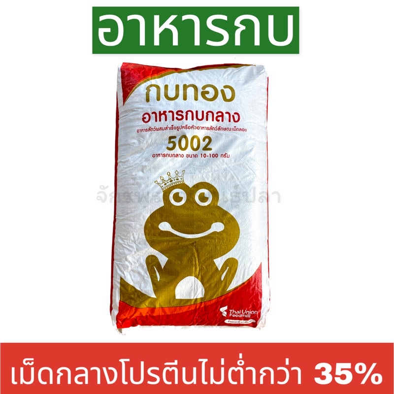 อาหารกบ ตรากบทอง ขนาดเม็ดกลางโปรตีนไม่ต่ำกว่า 35%(1กระสอบ)