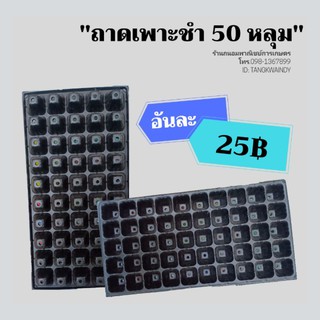 ซื้อ 6แถม1 ถาดเพาะ ถาดเพาะชำ ถาดเพาะกล้า แผงเพาะ แผงปลูกผัก 50 หลุม