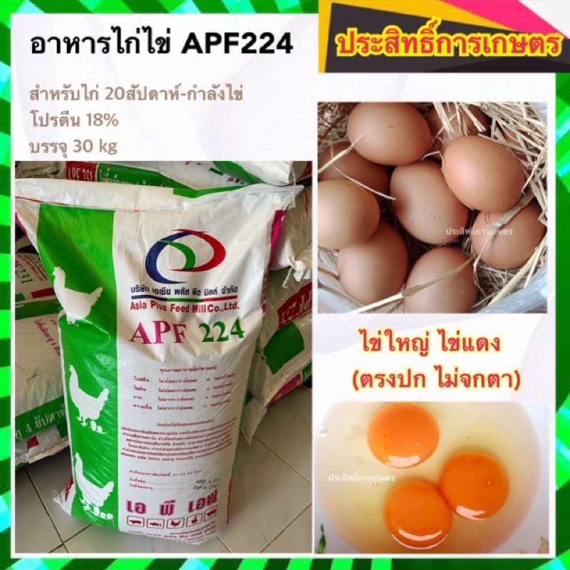 🔥แบ่งขาย 10kg🔥อาหารไก่ไข่ อาหารเป็ดไข่ APF โปรตีน18% ไข่ดก ไข่ใหญ่ ไข่ตลอดกาล
