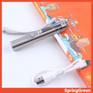 (SPRINGGREEN) ไฟฉายเลเซอร์แบบชาร์จ USB สำหรับเล่นกับสัตว์เลี้ยง