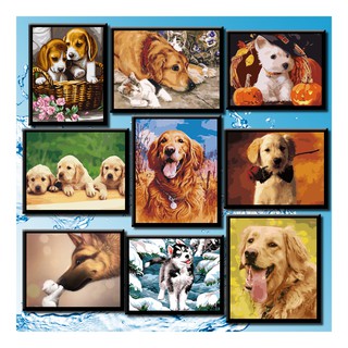 40*50 Cm Diy ภาพวาดสีน้ำมัน ภาพระบายสีตามตัวเลข Oil Painting Paint By Numbers On Canvas Funny Dog