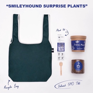 Smileyhound Surprise Plants กระเป๋าผ้า+ต้นไม้ เกรย์ฮาวน์ของแท้ค่ะ