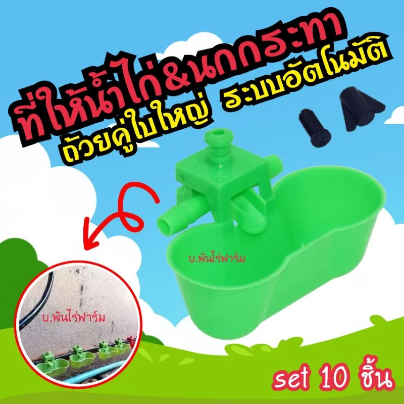 ที่ให้น้ำไก่ นกกระทา แบบถ้วยแฝด 10 ชิ้น