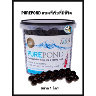 Evolution Aqua Pure Pond แบคทีเรียแบบมีชีวิต สำหรับบ่อปลา/ตู้ปลา ขนาด 1ลิตร