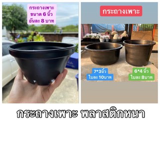 sjcactus กระถางเพาะ เก็บปลายทางได้