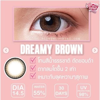 💖 Kitty kawaii ๑ Dreamy big ( 14.5 ) สายตา -00 ถึง -1000 brown gray Contactlens บิ๊กอาย คอนแทคเลนส์ ราคาถูก ฟรีตลับ.