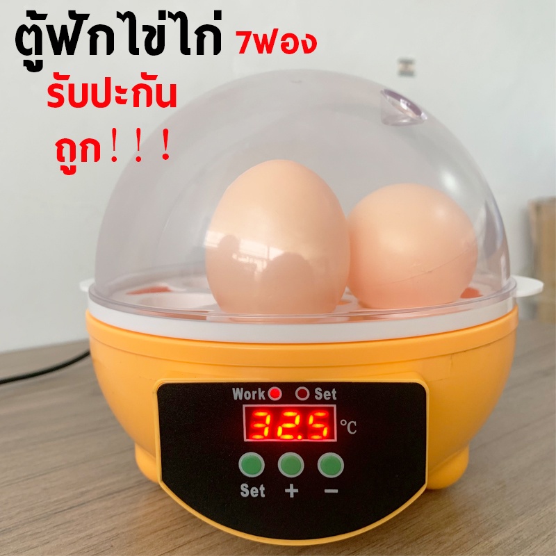 ตู้ฟักไข่ถูกๆ 7ฟอง ตู้ฝักไข่ไก่ ชุดตู้ฟักไข่นกเป็ดไก่ เครื่องฟักไข่อัตโนมัติ เครื่องฟัก อัตโนมัติ ไข่ไก่ นก รับประกัน❗❗