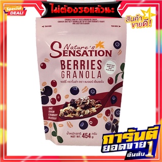 เนเจอร์ เซ็นเซชั่น เบอร์รี่ กราโนล่า 454 กรัม Natures Berries Granola 454 g