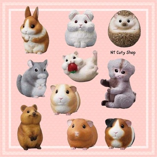 ✨พร้อมส่ง♥️Tenori Friends 5🐰โมเดลสัตว์น่ารัก จากญี่ปุ่น กาชาปอง ของตั้งโชว์ ของขวัญ💝Bandai  Animals Model ExoticPet