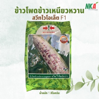 ข้าวโพดข้าวเหนียวหวานลูกผสม สวีท ไวโอเล็ท F1 น้ำหนัก 1 กิโลกรัม / ข้าวโพดขาวม่วง