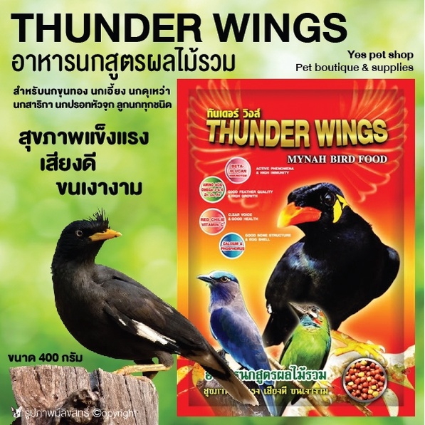 อาหารนก อาหารเม็ด นกขุนทอง นกเอี้ยง นกดุเหว่า นกสาริกา นกปรอทหัวจุก ลูกนก Thunder Wings อาหารนกสูตรผ