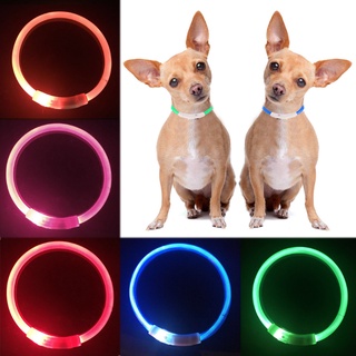 ปลอกคอสุนัขเรืองแสง LED 1 ชิ้น แฟลชไฟกลางคืน ปลอกคอชาร์จ USB เรืองแสง อุปกรณ์สัตว์เลี้ยง