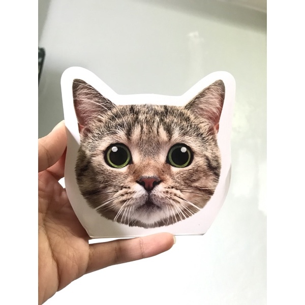 โพสอิททาสแมว postit กระดาษโน๊ต มือ1 ลายแมวน้อย น่ารัก