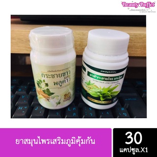 ยาสมุนไพรเสริมภูมิคุ้มกัน 100% ( ราคา 1 ชิ้น)