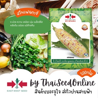 EWCOM 200กรัม 🔥ใหม่🔥เมล็ดพันธุ์ข้าวโพดข้าวเหนียวหวาน สวีทแฟนตาซี 200 กรัม ตราศรแดง