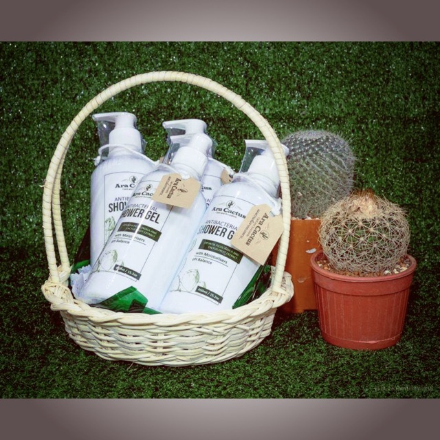 Shower cream Ara cactus