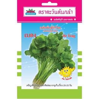 เมล็ดพันธ์ุ ผักโขม เบตง 15 กรัม/ซอง ตราตะวันต้นกล้า