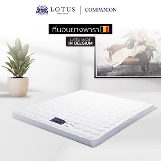 LOTUS ที่นอนยางพารารุ่น Companion Latex Made In Belgium ส่งฟรี