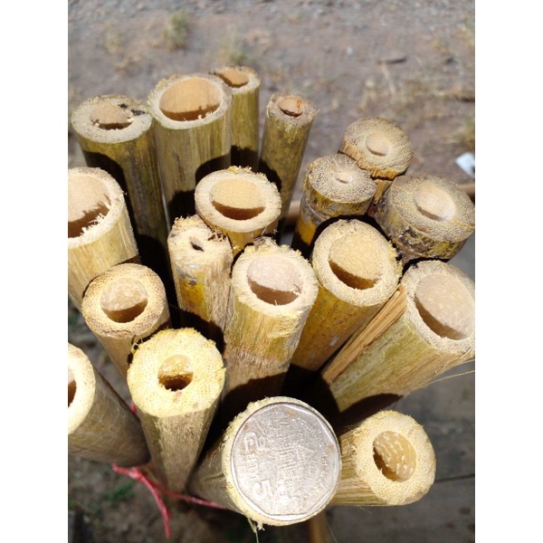 ไม้ไผ่กลมปลายแหลมยาว120cm.บรรจุ10ชิ้น ราคา68บาท