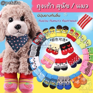 🇹🇭พร้อมส่ง 🇹🇭 🧦 ถุงเท้าสุนัข แมว กันข่วน กันหนาว กันเกาแผล🐾 พื้นด้านล่างมียางกันลื่น