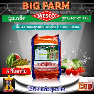 บรรจุ 5 กิโลกรัม WESCO ปุ๋ย 21-21-21 +TE(ธาตุรองเสริม) ปุ๋ยเกล็ด เวสโก้ เพิ่มความสมบูรณ์ของลำต้น ใบ ดอกและผล