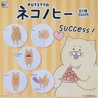 กาชาปอง Putitto Cuccess แมวอ้วน เกาะแก้ว 🐱