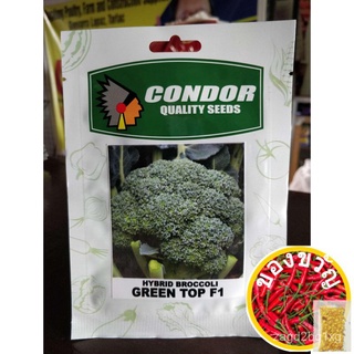 BROCCOLI (GREEN TOP) F1 SEEDS-HYBRIDผักชี/กุหลาบ/เมล็ด/บ้านและสวน/หมวก/seeds/พาสต้า/กางเกง/แม่และเด็ก/สวน/ RBKP