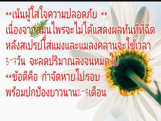 กำจัดมด กำจัดปลวก กำจัดแมลงสาบ แมงและแมลงคลาน6-8ขา ใช้ง่ายปลอดภัยกับเด็กและสัตว์เลี้ยง 500 ml. gallon ราคา ถูกที่สุด ดีลบีเคเค แกลเลอรีภาพที่ 7
