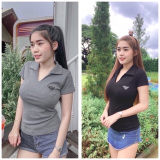 เสื้อยืดนมโต ฟรีไชร์