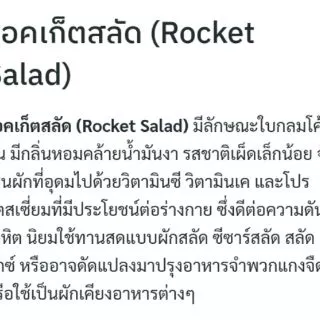 50 เมล็ด เมล็ดพันธุ์ อลูกูล่า ร็อคเก็ต Arugula Rocket
