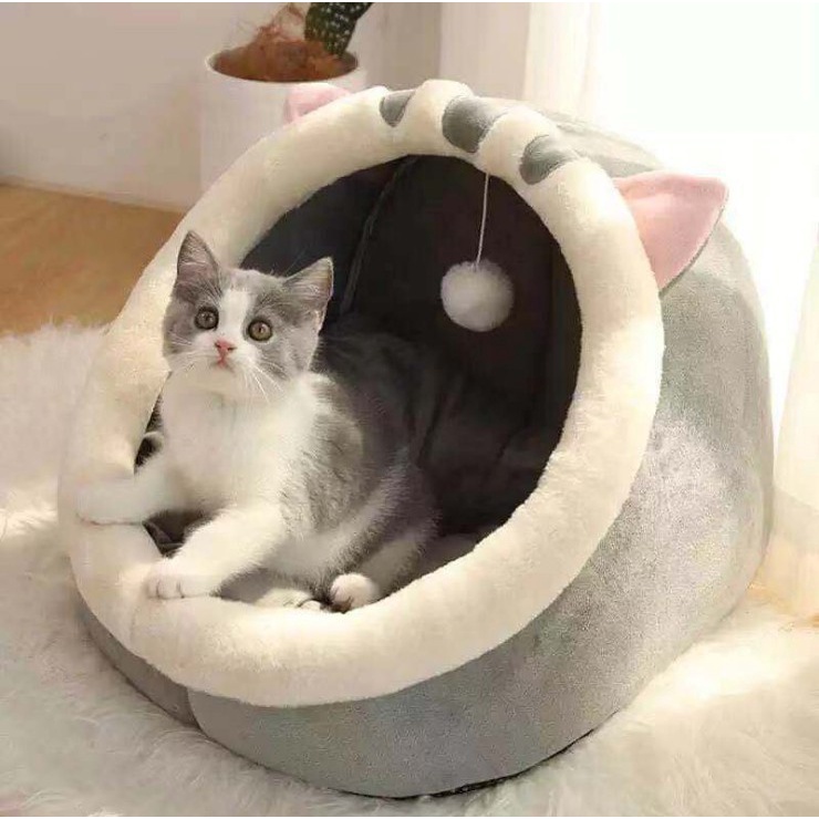 Pet Club ที่นอนสัตว์เลี้ยง ที่นอนแมว เบาะนอนสุนัข เบาะนอนหมา บ้านน้องหมา เบาะโดมที่นอนแมวนอนแมว ราคา ถูกที่สุด ดีลบีเคเค แกลเลอรีภาพที่ 9
