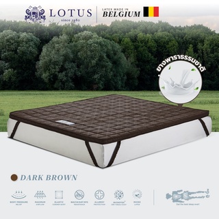 SB Design Square ท็อปเปอร์ LOTUS รุ่น FORESTEX I - DARK BROWN ขนาด 3 ฟุต หนา 2 นิ้ว (90 x 198 x 5 ซม.)