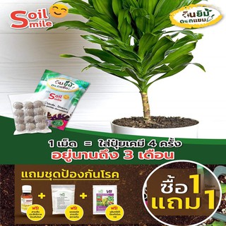 ปุ๋ยเม็ด - สารชีวภาพปรับปรุงสภาพดิน Soil Smile  นวัตกรรมใหม่ ‼️ ไบโอยิบซั่ม บำรุงต้นไม้ ( โปร 1 แถม 1 + ชุดทำสวน )