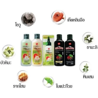 Kokliang ก๊กเลี้ยง เซตดั้งเดิม แชมพู 200 มล. x 4 + ครีมนวดผม 200 มล. x 2 แถมฟรี แชมพูแฮร์ดาร์คเคนนิ่ง&ทิคเคนนิ่ง 200 มล.