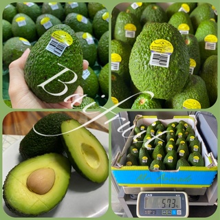 🥑 Avocado สายพันธุ์ Hass 28-30 ลูก นำเข้าจากประเทศ ออสเตรเลีย นิวซีแลนด์ 🥑 อาโวคาโด อโวคาโด้