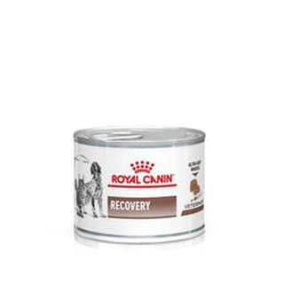 Royal Canin Veterinary Recovery 195g อาหารสำหรับสุนัขและแมว พักฟื้น