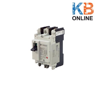 เบรกเกอร์ BW100EAG 2P 100A FUJI Circuit Breaker BW100EAG 2P 100A FUJI