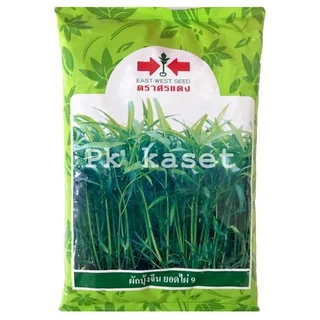 เมล็ดผักบุ้ง ยอดไผ่ 9 ขนาด 1 kg ผักบุ้ง ศรแดง ใบเรียวเล็ก สีเขียวสด ลำต้นตรง ไม่แตกแขนง ของใหม่