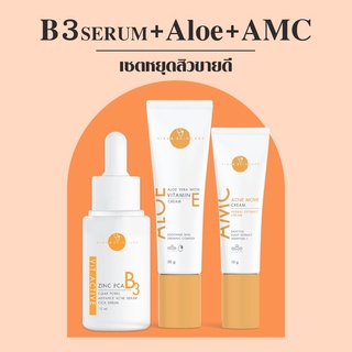 VIKKASKINCARE B3 15 ml + AMC +ALOE  เซ็ตหยุดสิวยังยั้งการเกิดสิว คุมมัน ลดการสะสมเชื้อแบคทีเรีย ช่วยให้ผิวสมดุลแข็งแรง