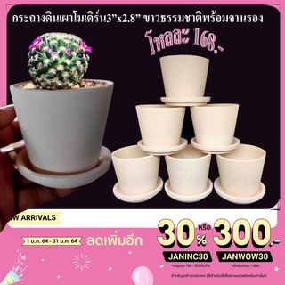 กระถางดินเผา3"ขาวธรรมชาติ(โมเดิร์น)พร้อมจานรองยกโหล