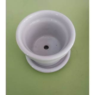 กระถางแคนตัส กระถางเซรามิค กระถางต้นไม้  Flower Pots