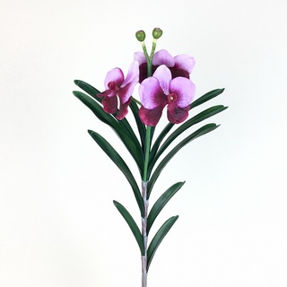 ช่อกล้วยไม้แวนด้า 3หัวดอก ดอกไม้ประดิษฐ์เกรดพรีเมี่ยม Artificial Vanda