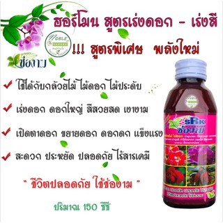 ปุ๋ยน้ำ ตรา ช่องาม  สูตร ฮอร์โมน เร่งดอก เร่งสี บำรุงดอก สีสวยสด ขนาด 150 ซีซี ปลอดภัยใช้ง่าย บอนสี แคคตัส