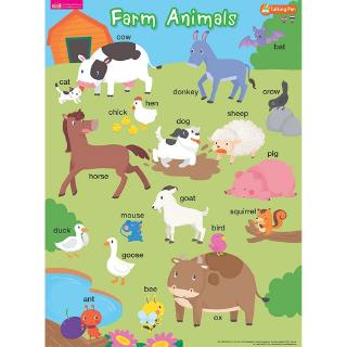 MISBOOK โปสเตอร์พลาสติก Farm Animals (ใช้กับ Talking Pen)