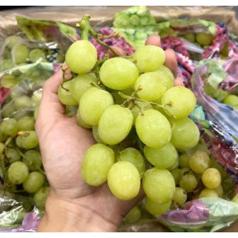 TOP-1องุ่นเขียวไร้เมล็ด (ยกลัง10กก.) Green Grape (USA/AUS) ~ลดพิเศษ~ส่งฟรี~ (องุ่นนอก องุ่นเขียวไร้เ