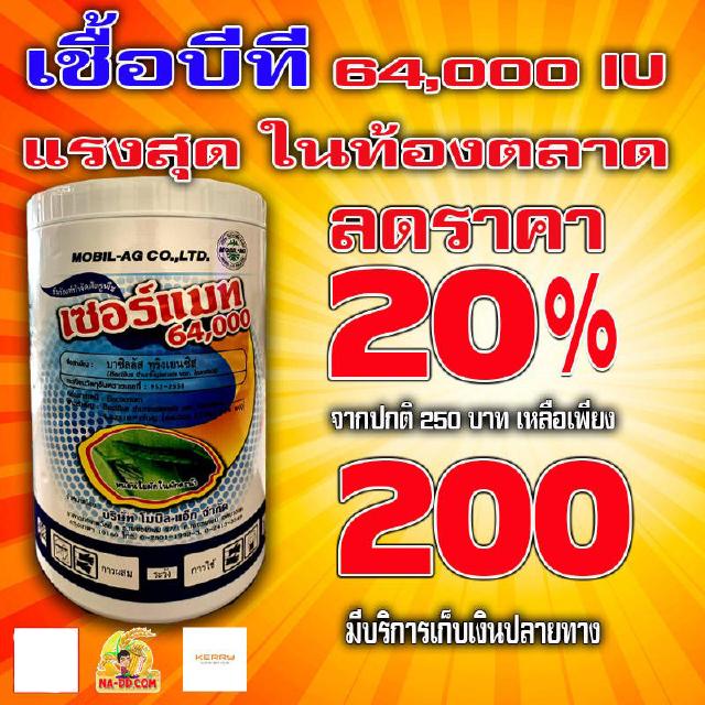 บีที เชื้อบีที  นำเข้าจากอเมริกา64,000 IU เซอร์แมท Bacillus 100g. เชื้อ BT ชีวภัณฑ์กำจัดศตรูพืช  บาซิลลัส ทูริงเยนซิส