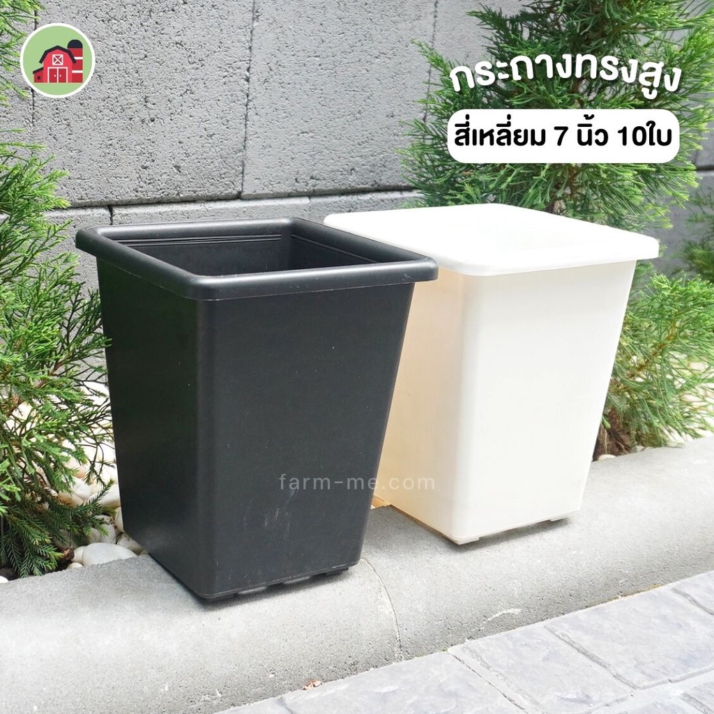 กระถางเหลี่ยม7"  ทรงสูง รุ่น KK-01 (แพ๊ค10ใบ)