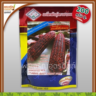 เมล็ดพันธุ์ข้าวโพด ข้าวโพดหวานม่วง ม่วงน้ำผึ้งสามเอ 3A F1 (200 กรัม) เมล็ดข้าวโพดหวาน เมล็ดพันธุ์ผักสวนครัว ตราสามเอ