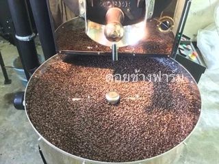 กาแฟคั่วดอยช้าง อ่อน กลาง เข้ม /Light Roast /Medium Roast/Dark Roast (2ถุง)